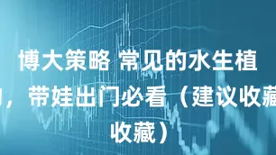 博大策略 常见的水生植物，带娃出门必看（建议收藏）