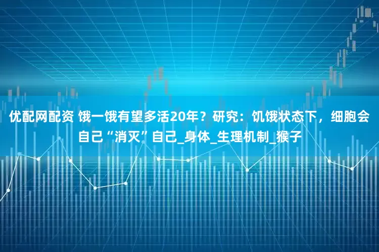 优配网配资 饿一饿有望多活20年？研究：饥饿状态下，细胞会自己“消灭”自己_身体_生理机制_猴子