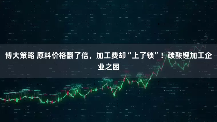博大策略 原料价格翻了倍,加工费却“上了锁”!碳酸锂加工企业之困